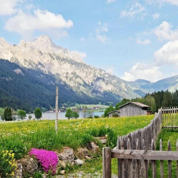 Braito'S Seaside Lodges Und Suites Haldensee Ruang foto